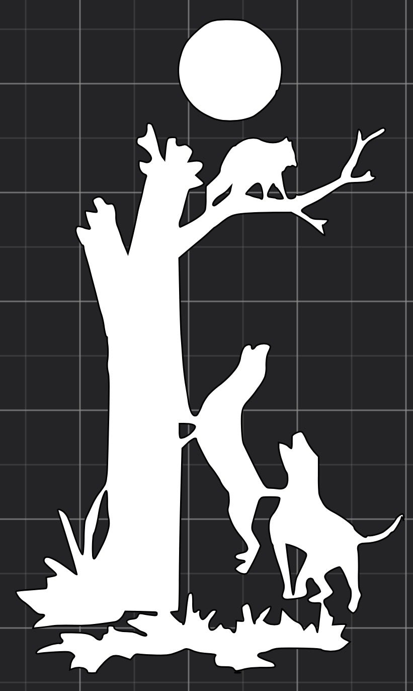 Racoon In Tree