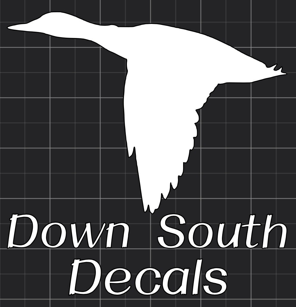 DSD Logo
